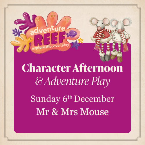 Christmas with Mr and Mrs Mouse